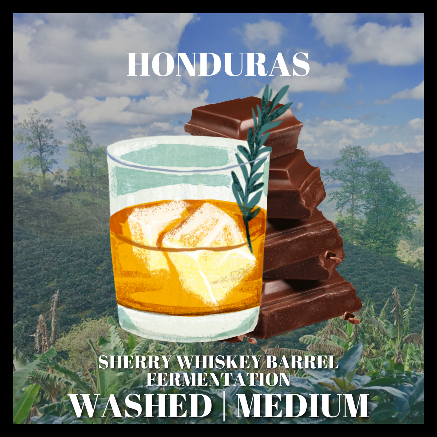 Honduras Sherry Whiskey Barrel Fermentation Washed SHG