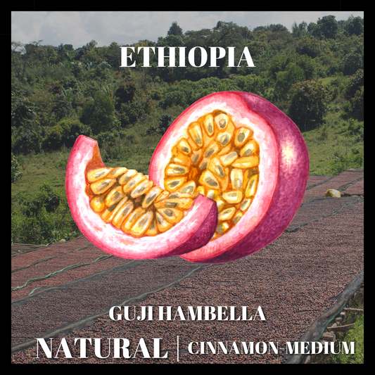 Ethiopia Guji Hambella G1 Natural
