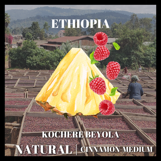 Ethiopia Beyola G1 Natural